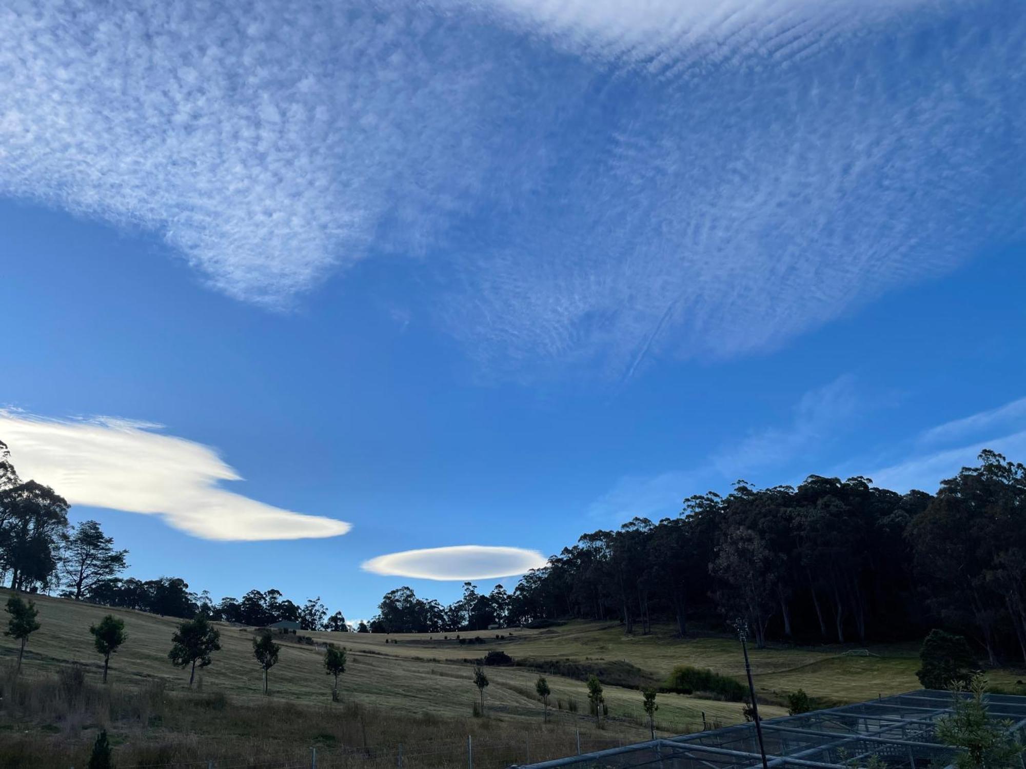 Ferienwohnung Amaroo With A View Set On A 50 Acre Hobby Farm Collinsvale Exterior foto