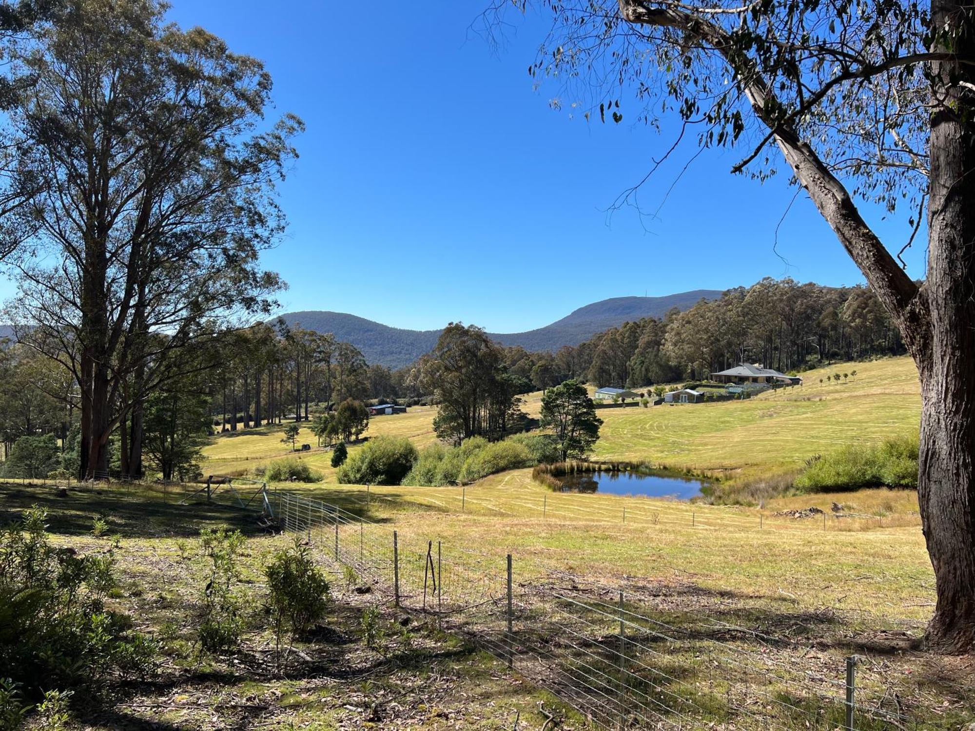 Ferienwohnung Amaroo With A View Set On A 50 Acre Hobby Farm Collinsvale Exterior foto