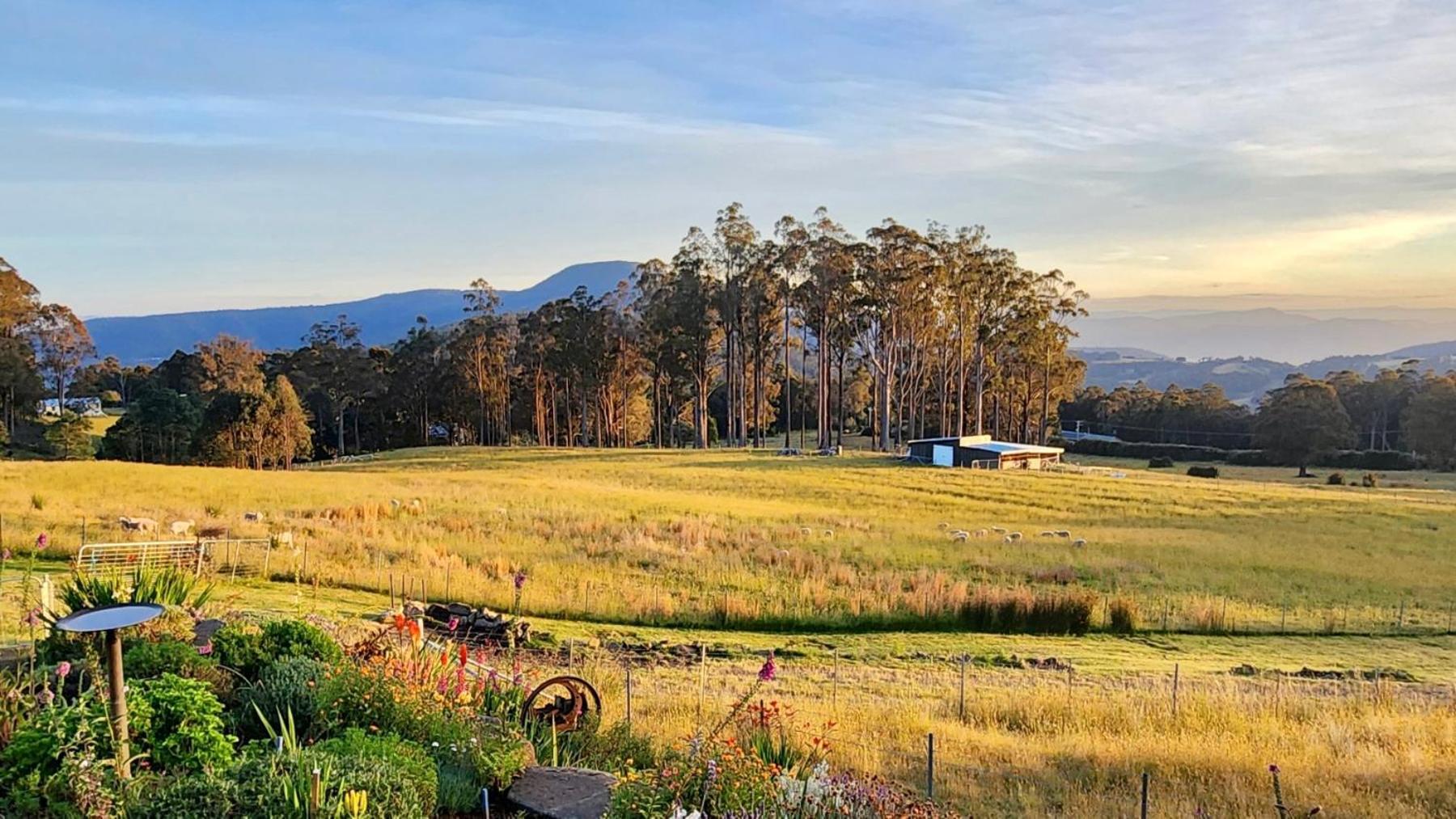 Ferienwohnung Amaroo With A View Set On A 50 Acre Hobby Farm Collinsvale Exterior foto
