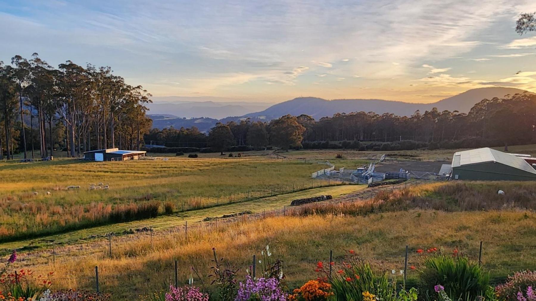 Ferienwohnung Amaroo With A View Set On A 50 Acre Hobby Farm Collinsvale Exterior foto