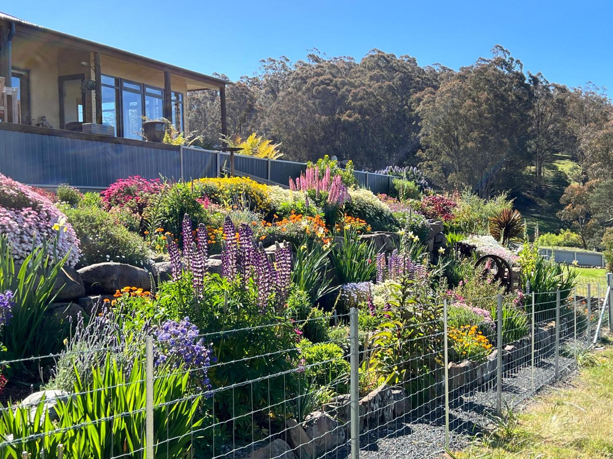 Ferienwohnung Amaroo With A View Set On A 50 Acre Hobby Farm Collinsvale Exterior foto