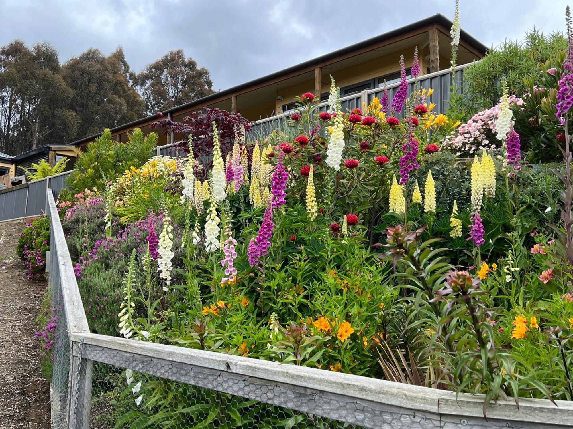 Ferienwohnung Amaroo With A View Set On A 50 Acre Hobby Farm Collinsvale Exterior foto