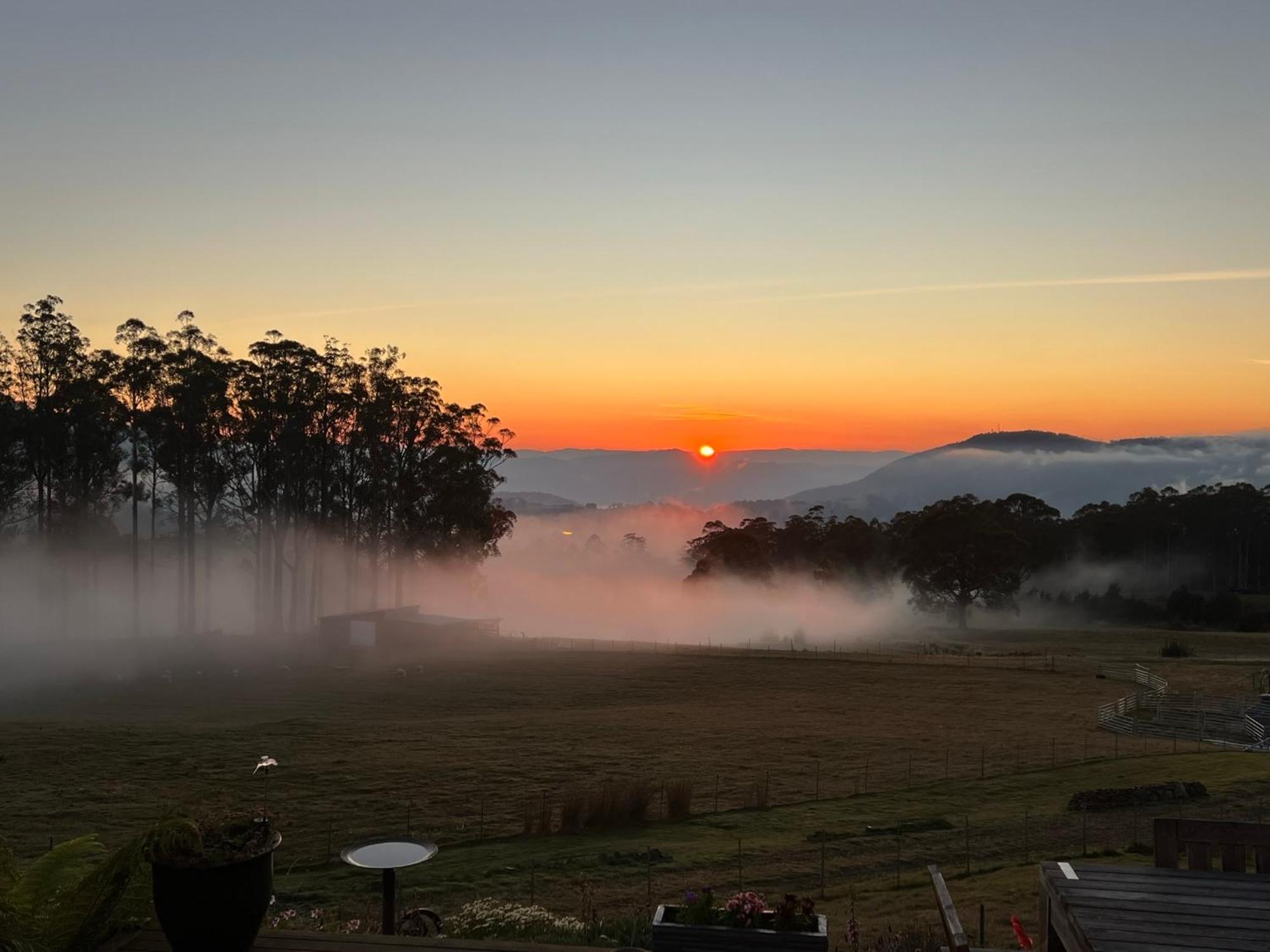 Ferienwohnung Amaroo With A View Set On A 50 Acre Hobby Farm Collinsvale Exterior foto